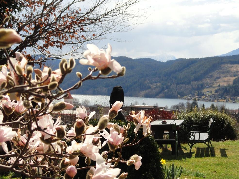 Ruhige Wohnung Mit Schoenem Eigengarten In Seeboden Am Millstaettersee Ngoại thất bức ảnh