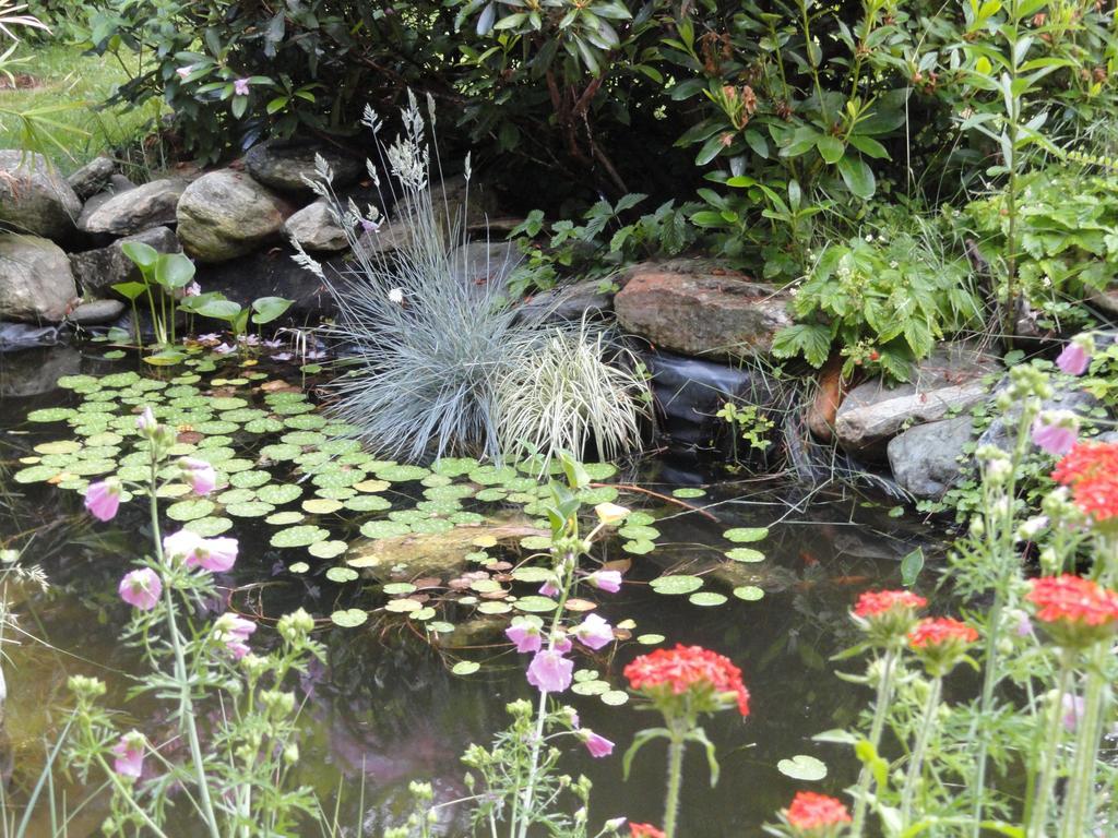 Ruhige Wohnung Mit Schoenem Eigengarten In Seeboden Am Millstaettersee Ngoại thất bức ảnh